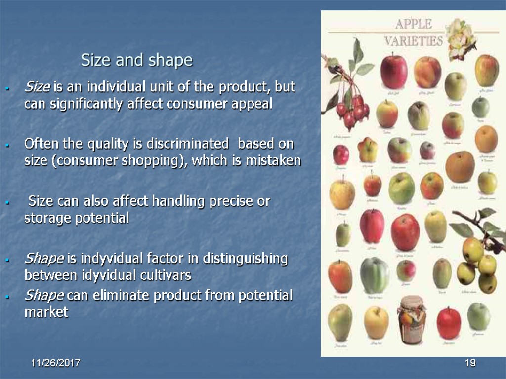 Size and shape Size is an individual unit of the product, but can significantly Size and shape Size is an individual unit of the product, but can significantly